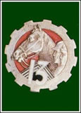 insigne_13grca